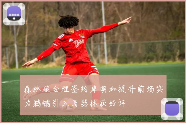 森林狼合理签约库明加提升前场实力鹈鹕引入马瑟林获好评